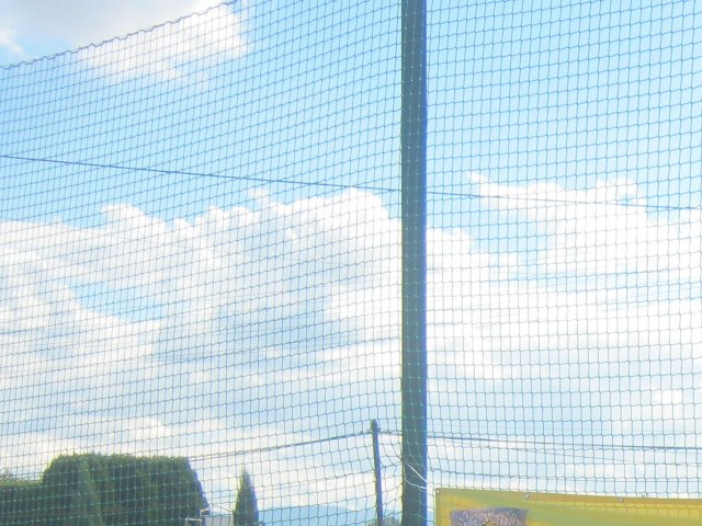 img_6548