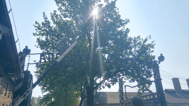 foto_32