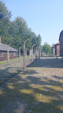 foto_34