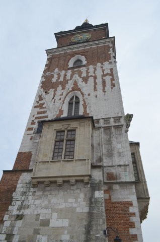 dsc_0028