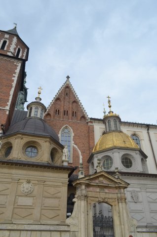 dsc_0050