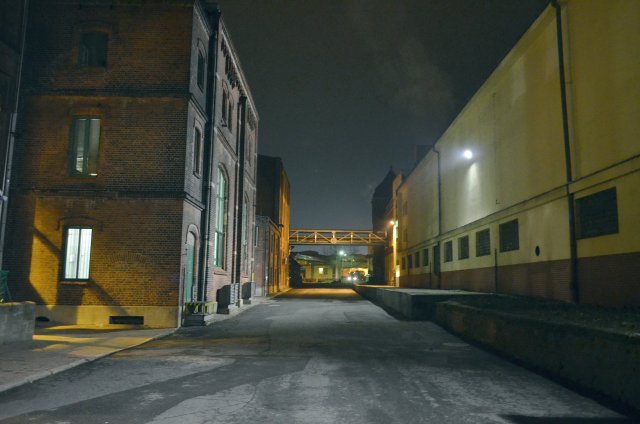 dsc_0168