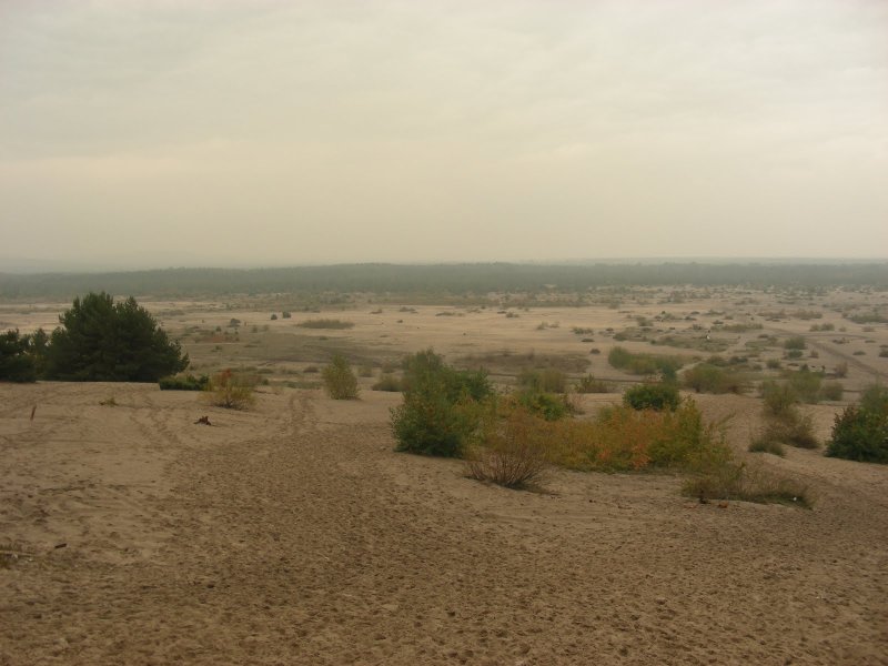 2010.10.01 - Warsztaty ekologiczne w Pustyni Błędowskiej