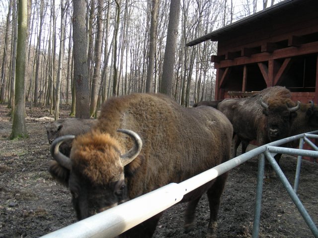foto_01