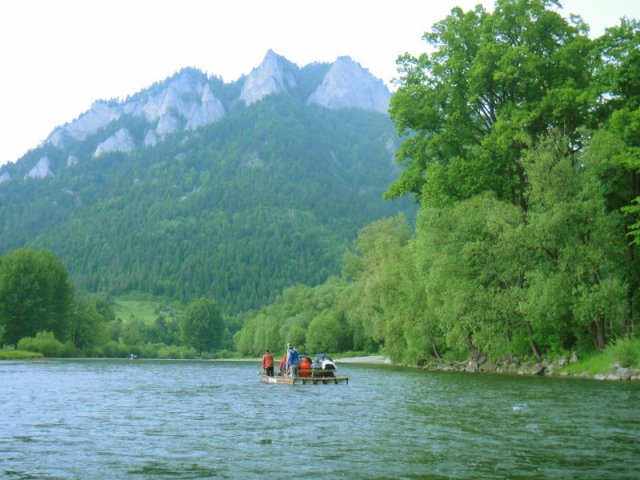 dsc02364a