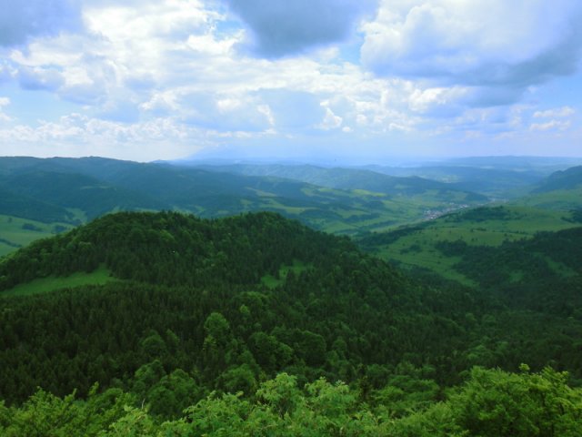 dsc02382a