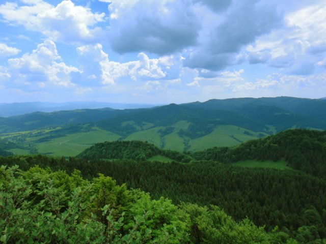 dsc02383a