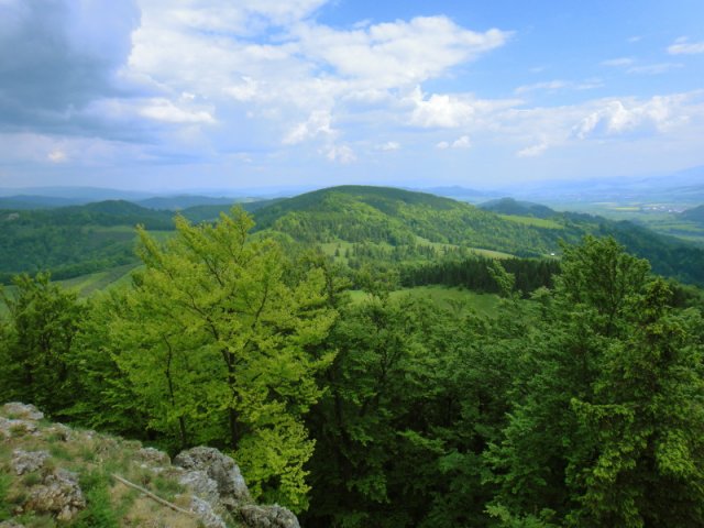 dsc02384a