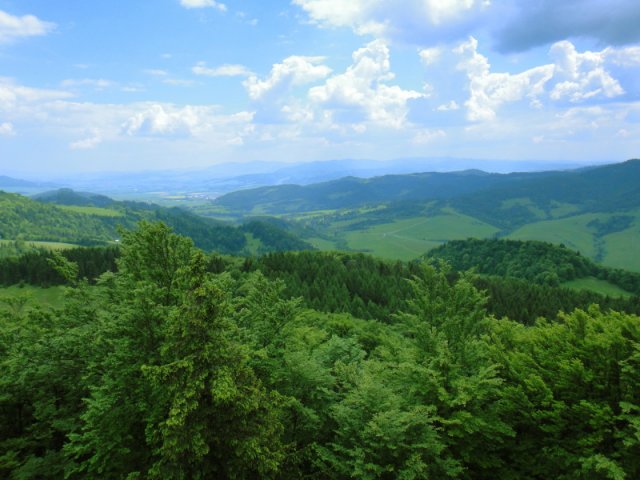 dsc02385a