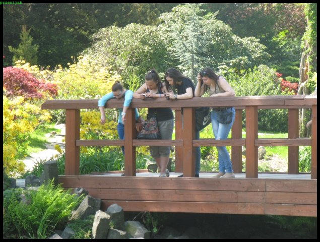 foto_11