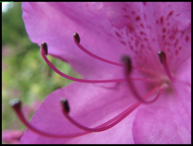foto_12