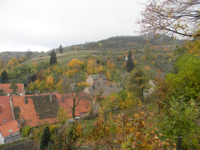 dscn5199