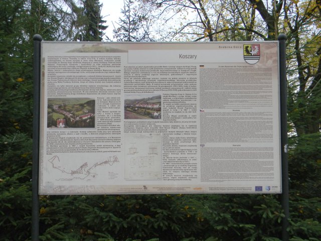 dscn5208