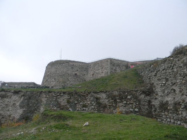 dscn5217
