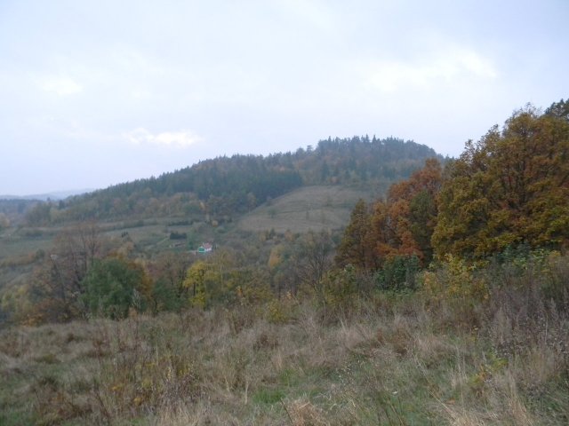 dscn5222