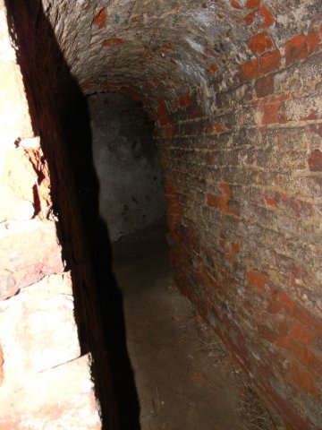 dscn5256