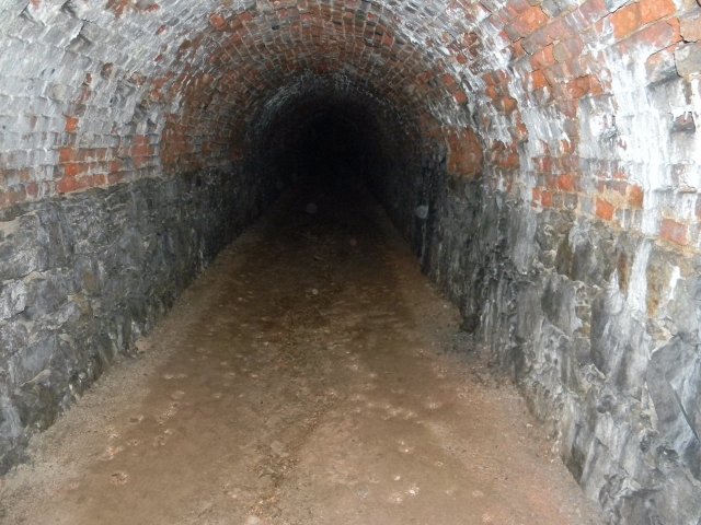 dscn5259