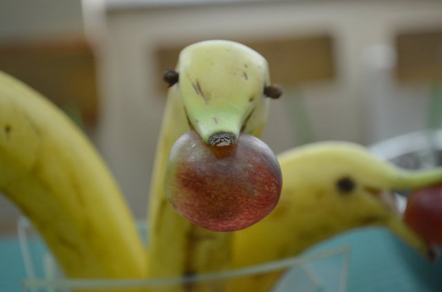 dsc_0478