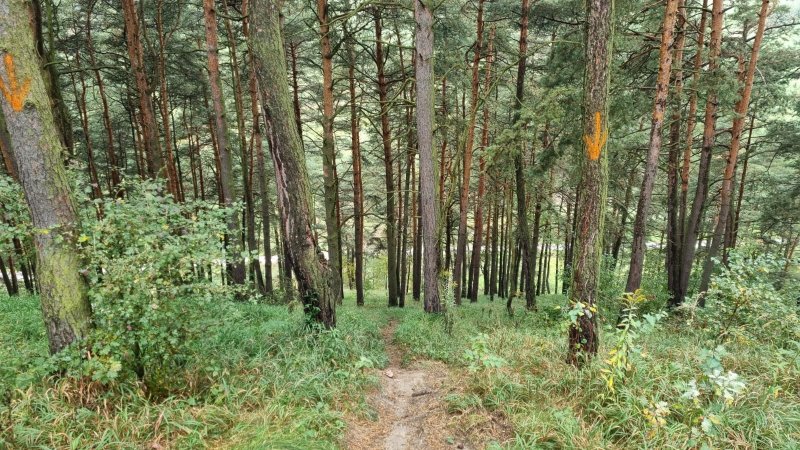 07_10_2021_Mistrzostwa_Polski_Geotyda_4